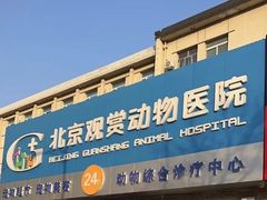 -北京观赏动物医院·24小时大型综合·猫专科·异宠专科