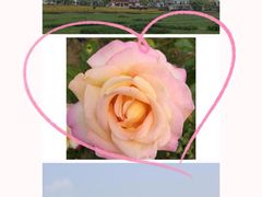 -武汉紫薇都市田园