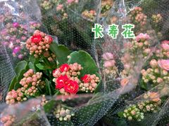 -IKEA宜家家居(南京商场)