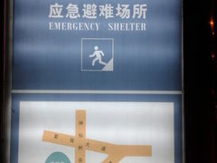 -神仙树公园