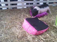 -万达广场(南京江宁店)