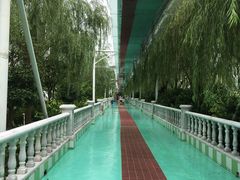 -广州花之恋城堡酒店
