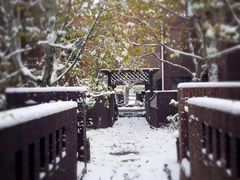 -天津东丽湖风景区