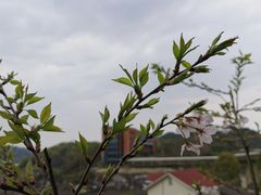 -东钱湖旅游度假区