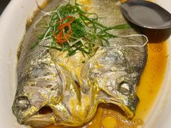 黄鱼-江南赋(内蒙古大厦店)