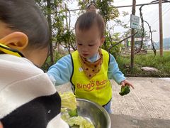 -宾果蒙特梭利托育儿童之家幼儿园(爱琴海店)