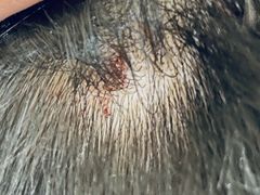 -恒兴发茶店(水巷口店)