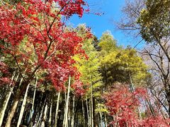 -莫干山风景区-毛主席下榻处