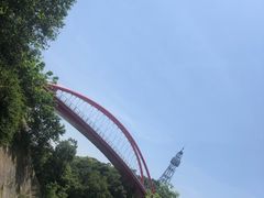 -金鸡山公园