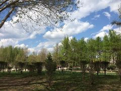 -长春公园(普阳街道)