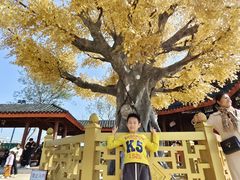 -广东圆玄道观