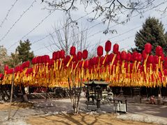 -护国法轮寺