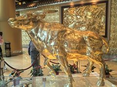 -华西龙希大酒店旅游观光区