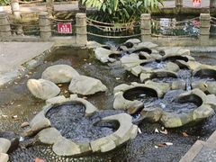 -成都市活水公园