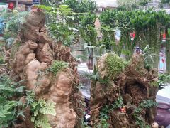 -西安市长乐公园