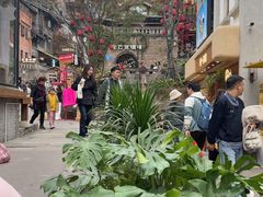 -重庆十八梯传统风貌区