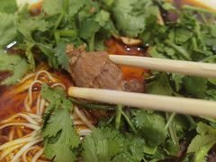 -智强牛肉面