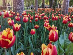 -长春公园(普阳街道)