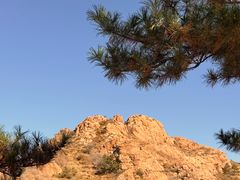 -红山国家森林公园