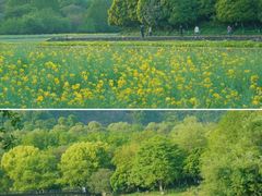 -西湖风景区-江洋畈生态公园