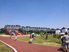 -迪茵湖田家舍生态农场