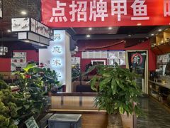 -洞庭家宴·头牌甲鱼(广渠门店)