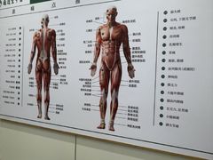-通透堂中医·精准推拿(万科云城分院)