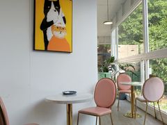 -有猫主题·治愈系猫咖(曾厝垵店)