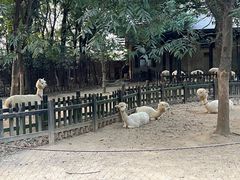 -南昌动物园