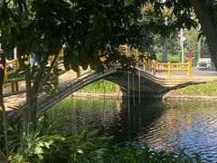 -晓港公园