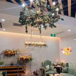 点击看大图 -芳香乐府SPA·五行芳疗