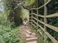 -野象谷景区