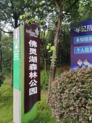 点击看大图 -佛灵湖水上乐园