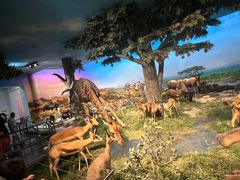 -国家自然博物馆