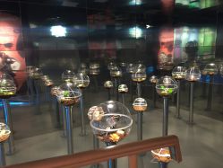 -七巧国萌宠乐园(龙湖天街店)