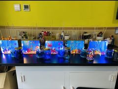-神奇科学家STEAM科学实验科创赛事机器人编程逻辑思维MadScience(长宁来福士校区)