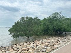 -宝安西湾红树林湿地公园