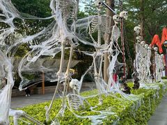 -厦门方特梦幻王国