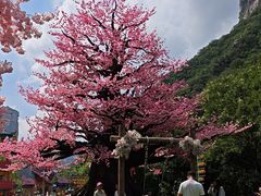 -河南宝泉旅游区