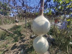 -汉长安城未央宫国家考古遗址公园