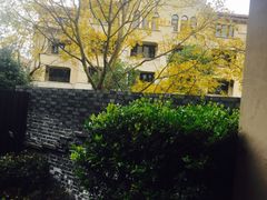 -上海崇明金茂凯悦酒店