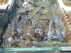 -清水湾3号(东方小周海鲜店)