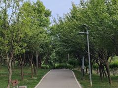 -洨河生态公园