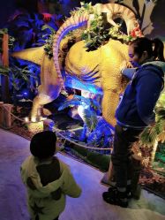 -恐龙探索乐园(磁器口店)