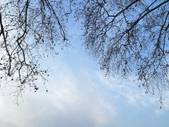 -河南省黄河迎宾馆