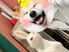 -海马体家庭照相馆(北京芳圆里 ID MALL店)