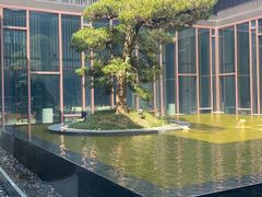 -上海崇明金茂凯悦酒店