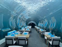 -涛·海底餐厅·美人鱼·自助餐·海底隧道(三亚海棠湾洲际度假酒店)