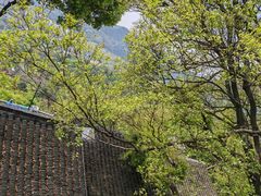 -苏州上方山国家森林公园
