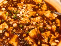 麻婆豆腐-眉州东坡(鸿坤店)